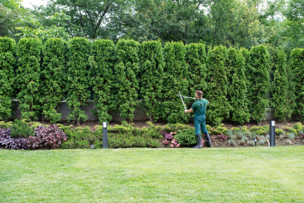 Best Tree Risk Assessment  in Crystal Lawns, IL